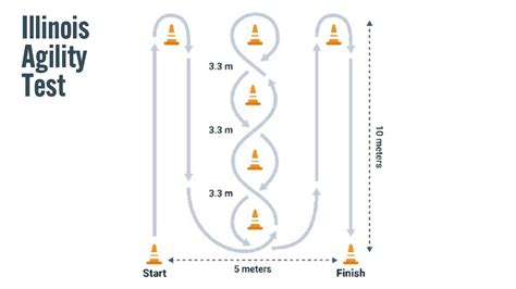 illinois agility test normative data|Assessing Agility Using the T Test, 5.